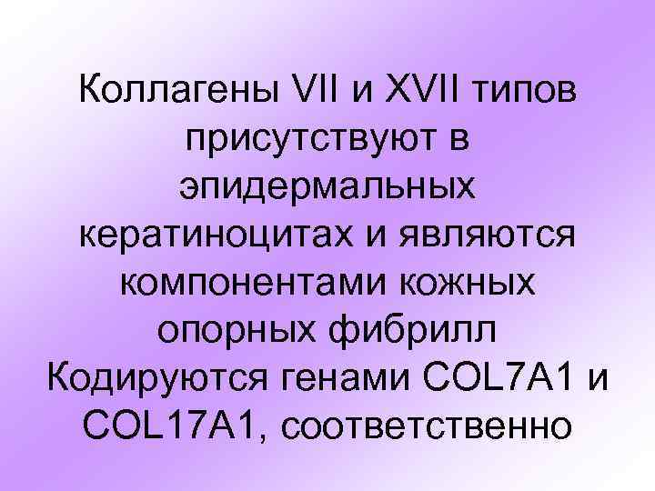 Коллагены VII и XVII типов присутствуют в эпидермальных кератиноцитах и являются компонентами кожных опорных