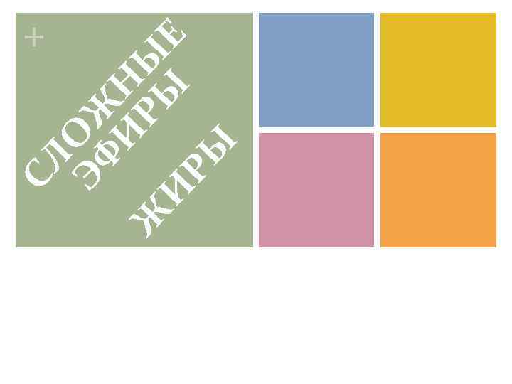 СЛ О ЭФ Ж И Н Ж РЫ Ы Е И РЫ + 