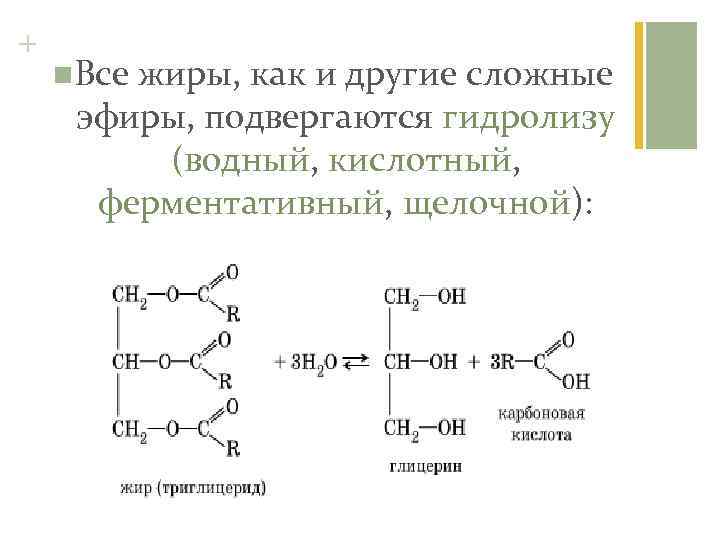 + n. Все жиры, как и другие сложные эфиры, подвергаются гидролизу (водный, кислотный, ферментативный,