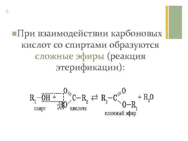+ n. При взаимодействии карбоновых кислот со спиртами образуются сложные эфиры (реакция этерификации): 