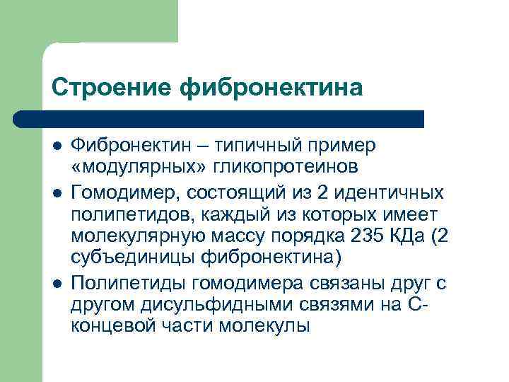 Строение фибронектина l l l Фибронектин – типичный пример «модулярных» гликопротеинов Гомодимер, состоящий из