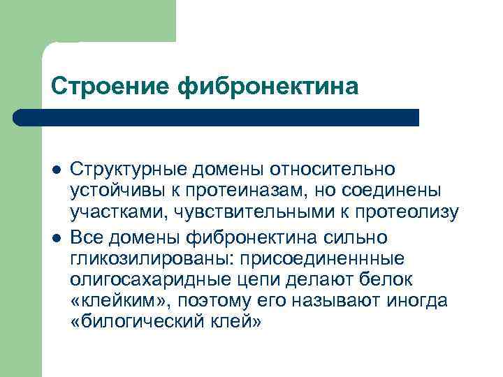 Строение фибронектина l l Структурные домены относительно устойчивы к протеиназам, но соединены участками, чувствительными