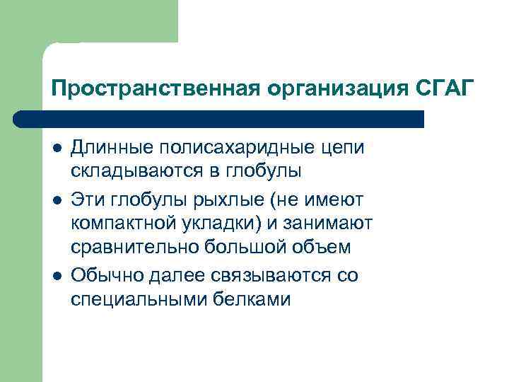 Пространственная организация СГАГ l l l Длинные полисахаридные цепи складываются в глобулы Эти глобулы