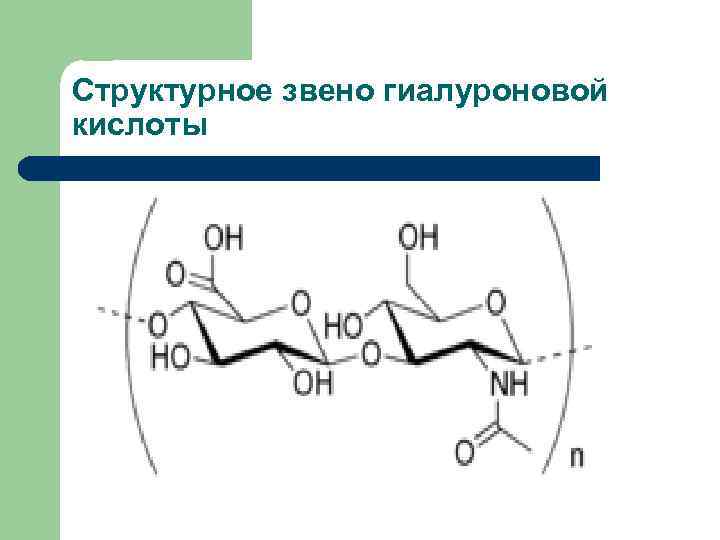 Структурное звено гиалуроновой кислоты 
