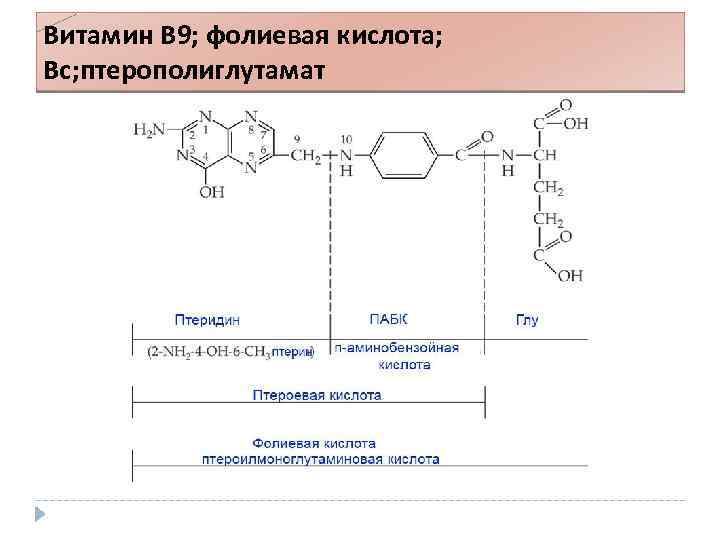 Витамин B 9; фолиевая кислота; Вс; птерополиглутамат 