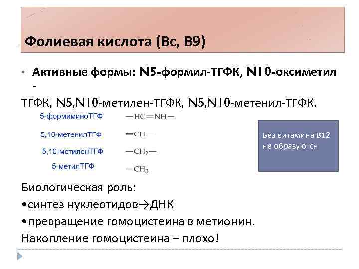 Фолиевая кислота (Вс, В 9) Активные формы: N 5 -формил-ТГФК, N 10 -оксиметил ТГФК,