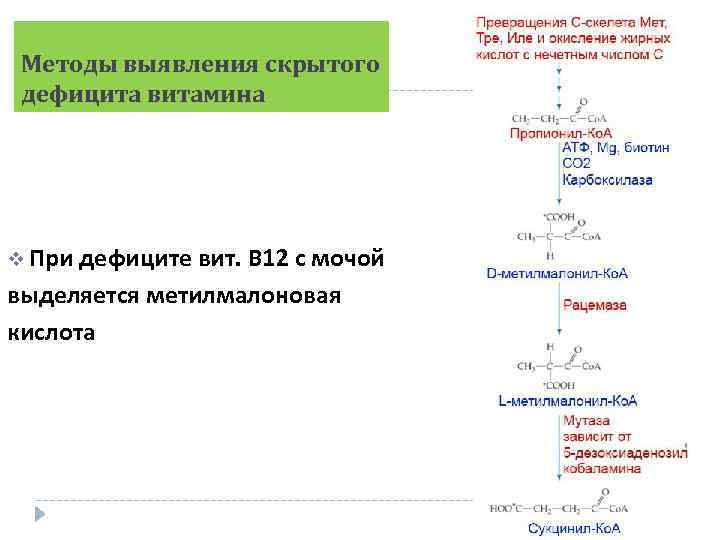 Методы выявления скрытого дефицита витамина v При дефиците вит. В 12 с мочой выделяется