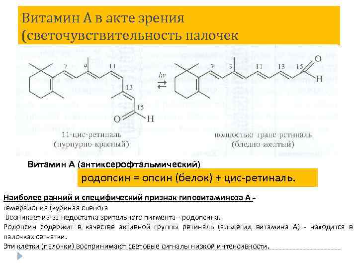 Витамин А в акте зрения (светочувствительность палочек Витамин А (антиксерофтальмический) родопсин = опсин (белок)