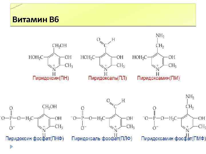 Витамин В 6 