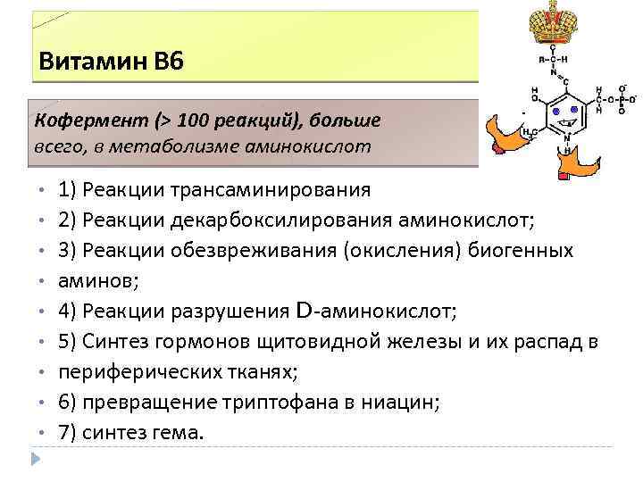 Витамин В 6 Кофермент (> 100 реакций), больше всего, в метаболизме аминокислот • •