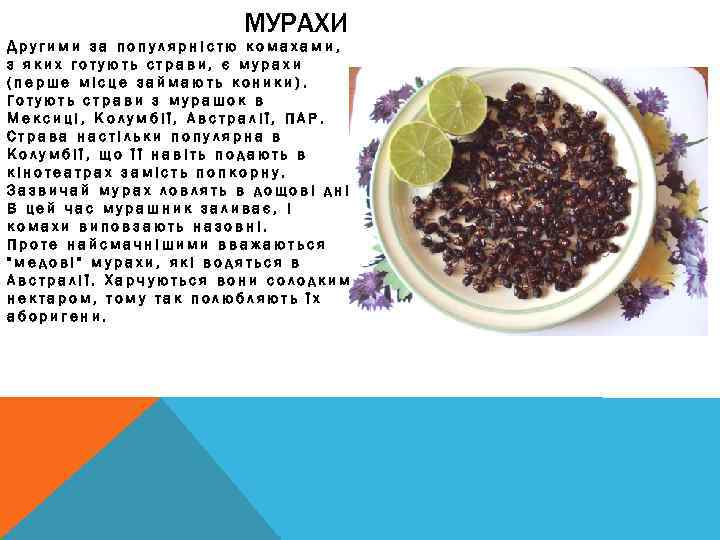 МУРАХИ Другими за популярністю комахами, з яких готують страви, є мурахи (перше місце займають