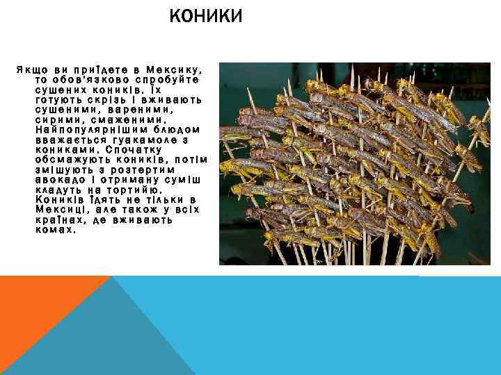 КОНИКИ Якщо ви приїдете в Мексику, то обов'язково спробуйте сушених коників. Їх готують скрізь