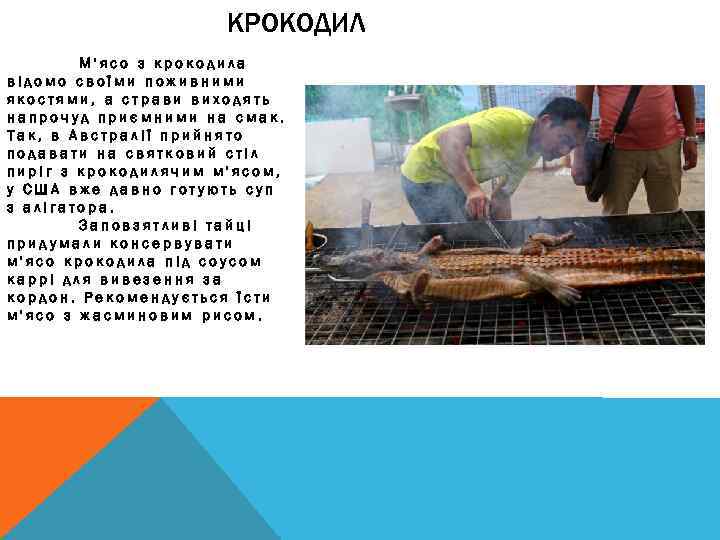 КРОКОДИЛ М'ясо з крокодила відомо своїми поживними якостями, а страви виходять напрочуд приємними на