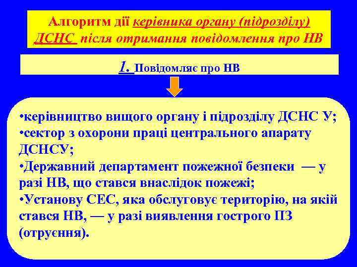 Алгоритм дії керівника органу (підрозділу) ДСНС після отримання повідомлення про НВ 1. Повідомляє про