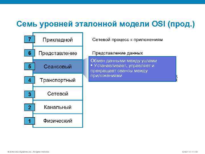 Семь уровней эталонной модели OSI (прод. ) Обмен данными между узлами § Устанавливает, управляет