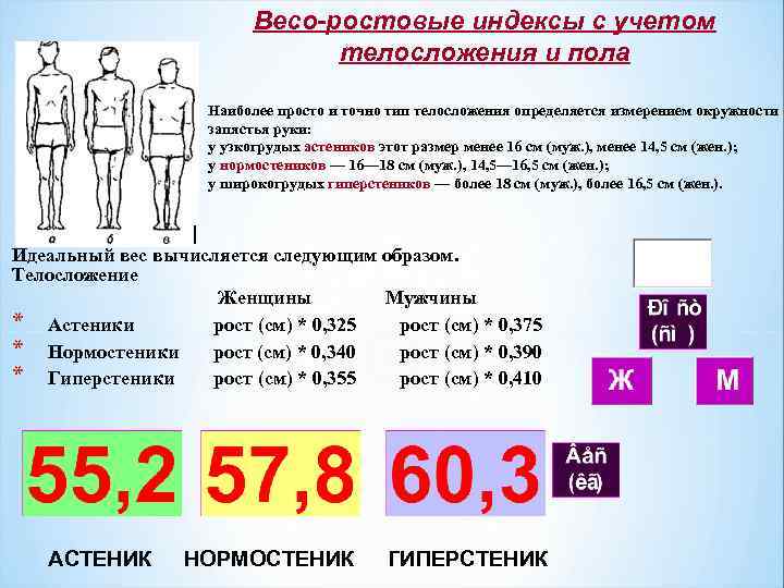 . Весо-ростовые индексы с учетом телосложения и пола Наиболее просто и точно тип телосложения