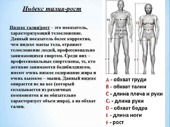 Индекс талия-рост Индекс талия/рост – это показатель, характеризующий телосложение. Данный показатель более корректно, чем