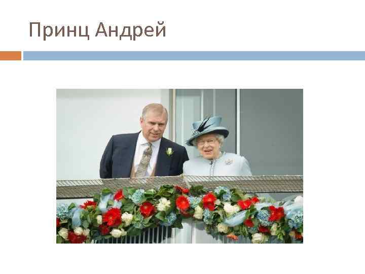 Принц Андрей 