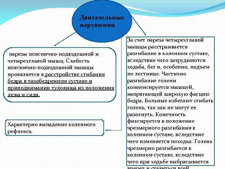 Двигательные нарушения парезы пояснично-подвздошной и четырехглавой мышц. Слабость пояснично-подвздошной мышцы проявляется в расстройстве сгибания