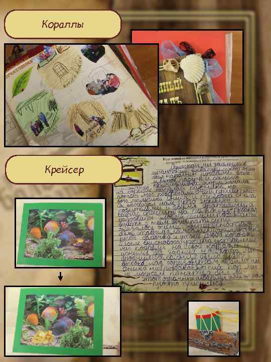 Кораллы Крейсер 