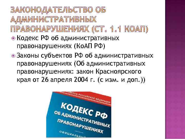  Кодекс РФ об административных правонарушениях (Ко. АП РФ) Законы субъектов РФ об административных