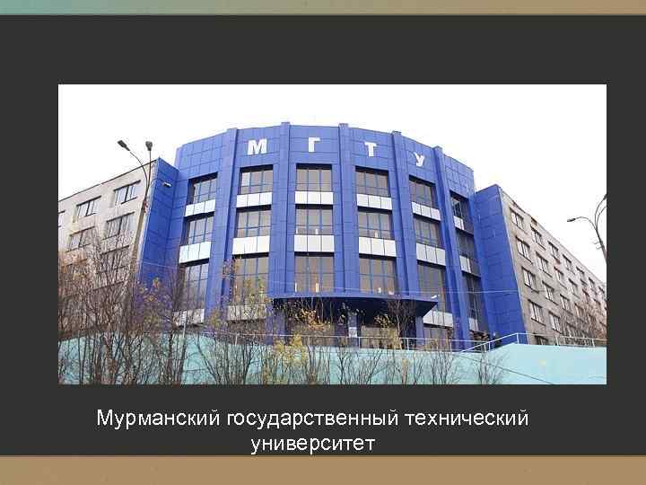 Мурманский государственный технический университет 