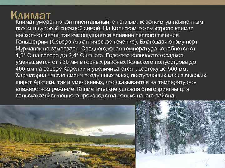 Климат умеренно континентальный, с теплым, коротким ув лажненным летом и суровой снежной зимой. На