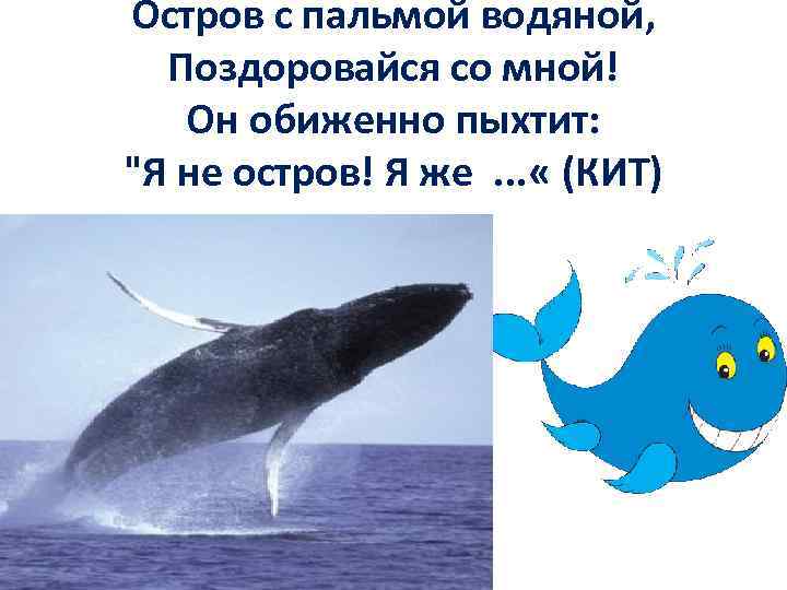 Остров с пальмой водяной, Поздоровайся со мной! Он обиженно пыхтит: "Я не остров! Я