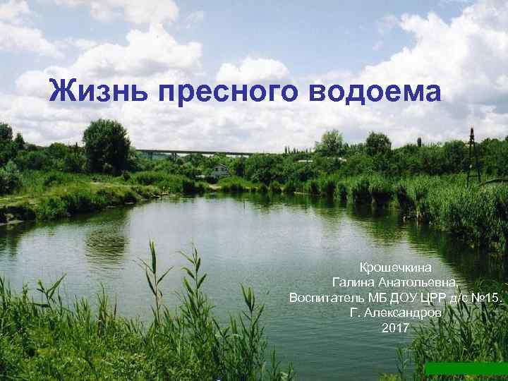 Жизнь пресного водоема Крошечкина Галина Анатольевна, Воспитатель МБ ДОУ ЦРР д/с № 15. Г.