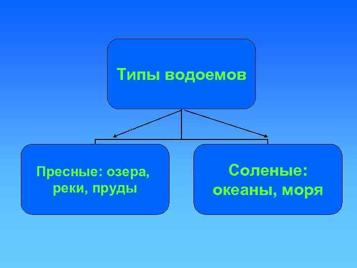 Типы водоемов Пресные: озера, реки, пруды Соленые: океаны, моря 