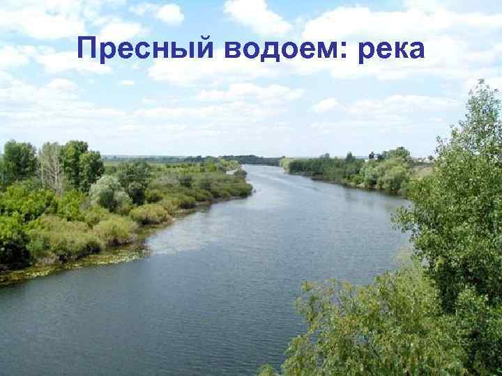 Пресный водоем: река 