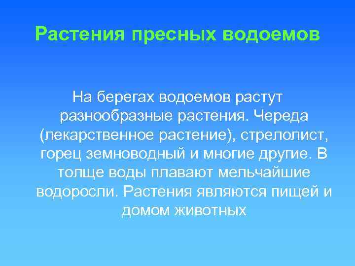 Растения пресных водоемов На берегах водоемов растут разнообразные растения. Череда (лекарственное растение), стрелолист, горец