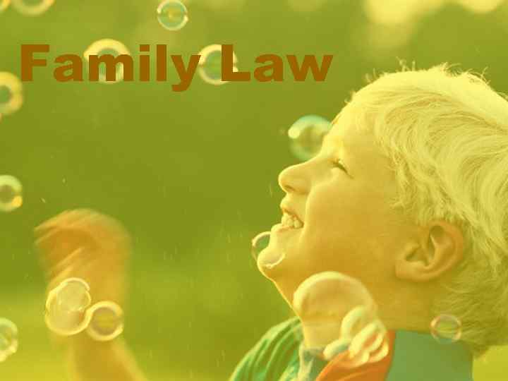 Family Law 