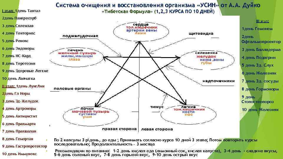 Система очищения и восстановления организма «УСИН» от А. А. Дуйко I этап: 1 день