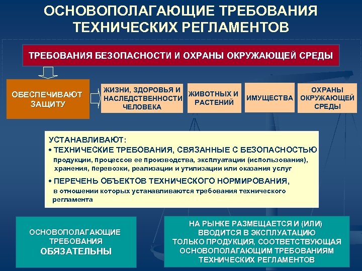 ОСНОВОПОЛАГАЮЩИЕ ТРЕБОВАНИЯ ТЕХНИЧЕСКИХ РЕГЛАМЕНТОВ ТРЕБОВАНИЯ БЕЗОПАСНОСТИ И ОХРАНЫ ОКРУЖАЮЩЕЙ СРЕДЫ ОБЕСПЕЧИВАЮТ ЗАЩИТУ ЖИЗНИ, ЗДОРОВЬЯ