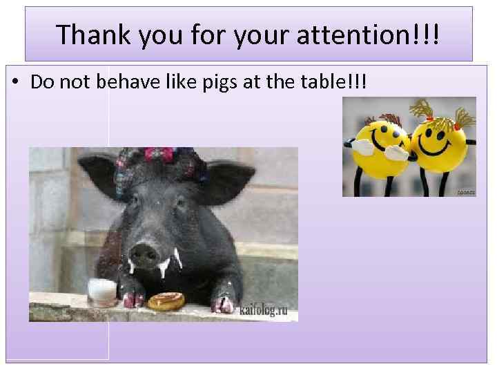 Thank you for your attention!!! • Do not behave like pigs at the table!!!