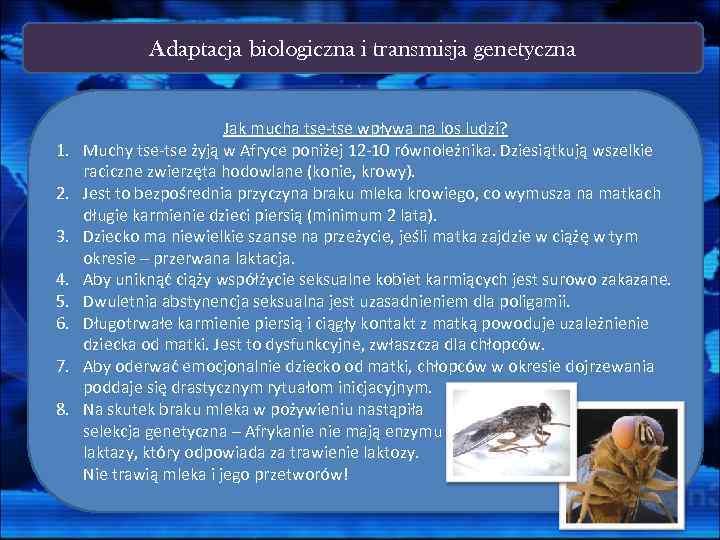 Adaptacja biologiczna i transmisja genetyczna 1. 2. 3. 4. 5. 6. 7. 8. Jak