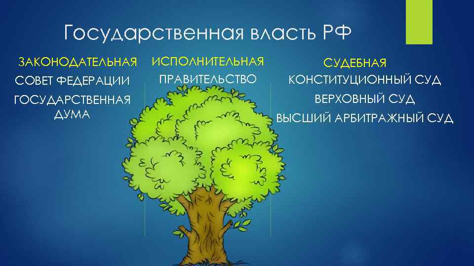 Государственная власть РФ ЗАКОНОДАТЕЛЬНАЯ СОВЕТ ФЕДЕРАЦИИ ГОСУДАРСТВЕННАЯ ДУМА ИСПОЛНИТЕЛЬНАЯ ПРАВИТЕЛЬСТВО СУДЕБНАЯ КОНСТИТУЦИОННЫЙ СУД ВЕРХОВНЫЙ