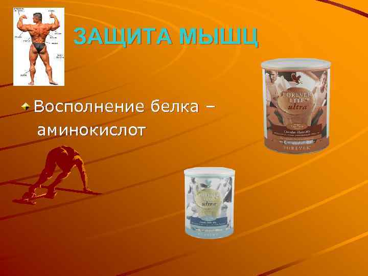 ЗАЩИТА МЫШЦ Восполнение белка – аминокислот 