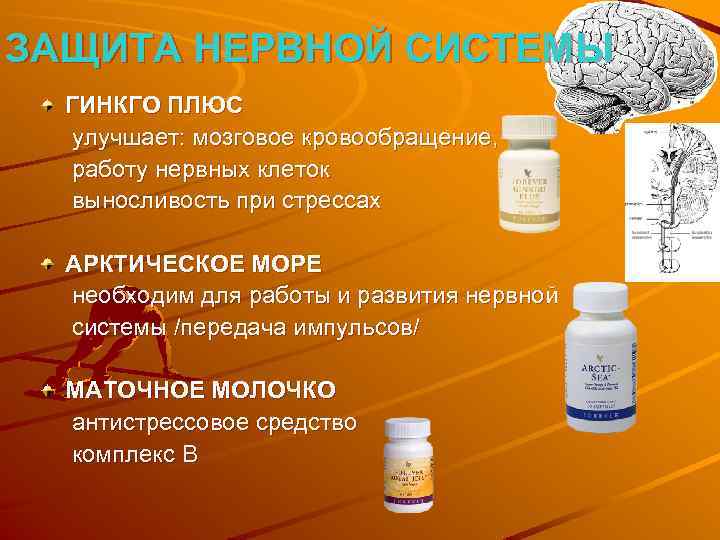 ЗАЩИТА НЕРВНОЙ СИСТЕМЫ ГИНКГО ПЛЮС улучшает: мозговое кровообращение, работу нервных клеток выносливость при стрессах