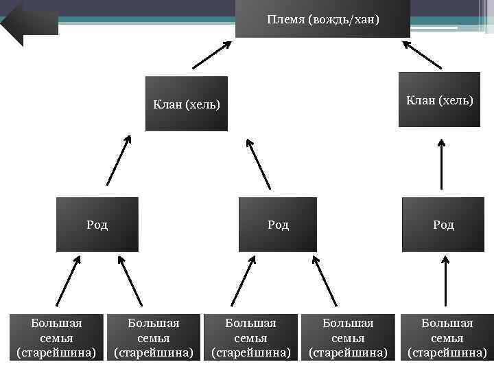 Племя (вождь/хан) Клан (хель) Род Большая семья (старейшина) Род Большая семья (старейшина) 