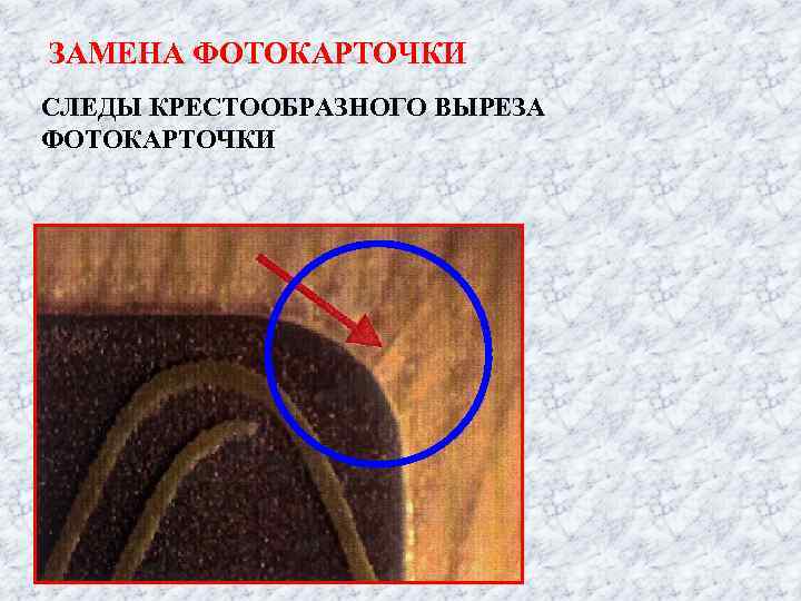 ЗАМЕНА ФОТОКАРТОЧКИ СЛЕДЫ КРЕСТООБРАЗНОГО ВЫРЕЗА ФОТОКАРТОЧКИ 
