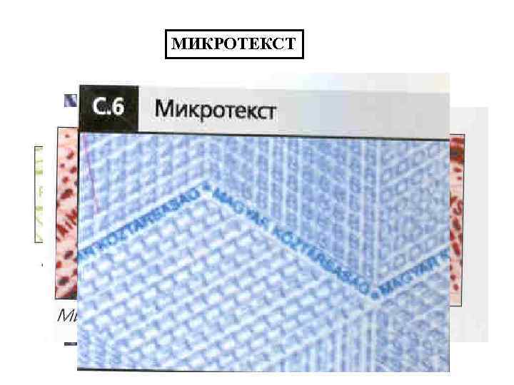 МИКРОТЕКСТ 