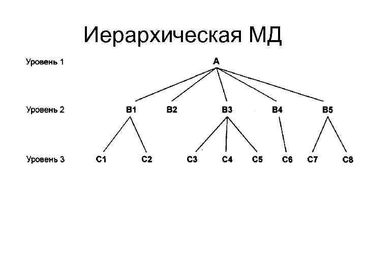 Представленная на рисунке структура в которой иерархические модели данных представляют зависимые