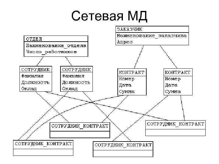 Сетевая МД 