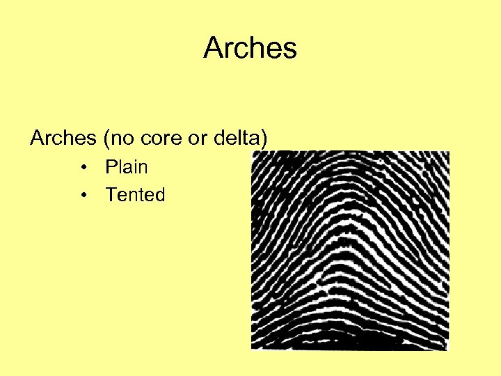 Arches (no core or delta) • Plain • Tented 