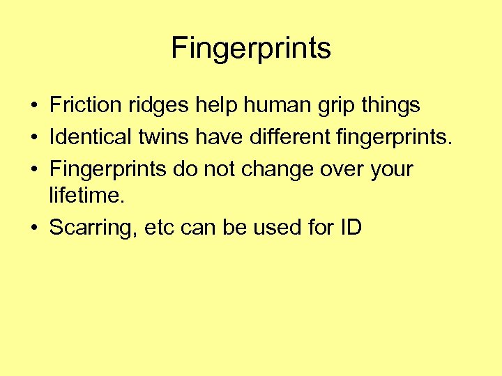 Fingerprints • Friction ridges help human grip things • Identical twins have different fingerprints.