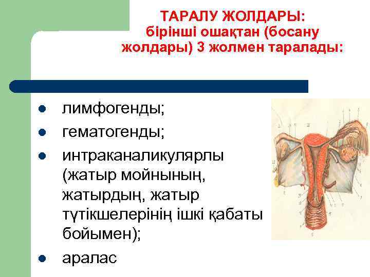 ТАРАЛУ ЖОЛДАРЫ: бірінші ошақтан (босану жолдары) 3 жолмен таралады: l l лимфогенды; гематогенды; интраканаликулярлы
