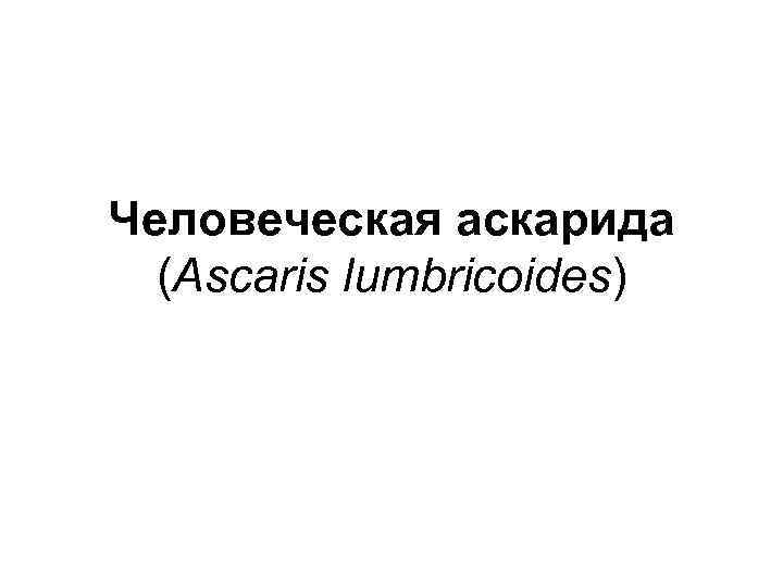 Человеческая аскарида (Ascaris lumbricoides) 