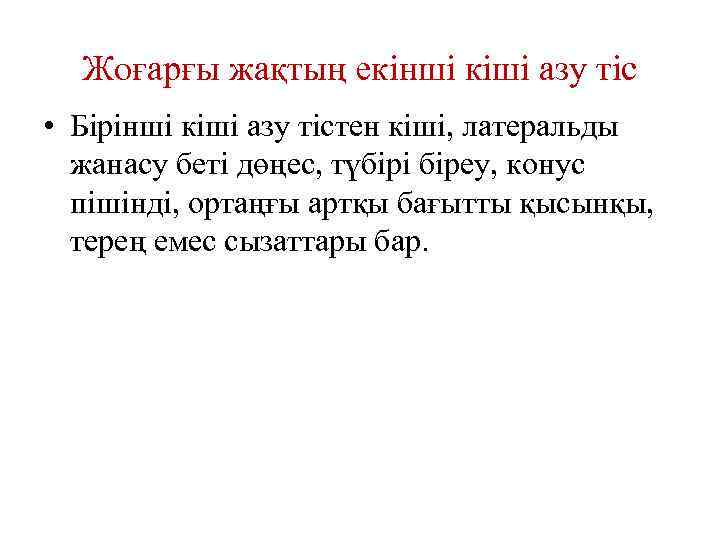 Жоғарғы жақтың екінші кіші азу тіс • Бірінші кіші азу тістен кіші, латеральды жанасу